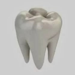 Easy Dental: Michael Tran, DMD Picture 1