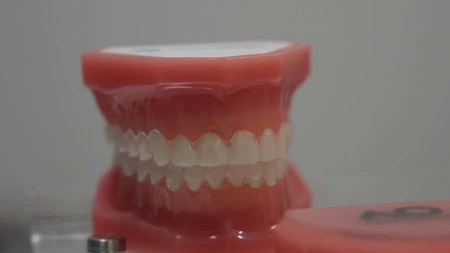 Main Street Children's Dentistry and Orthodontics of Windermere Picture 2