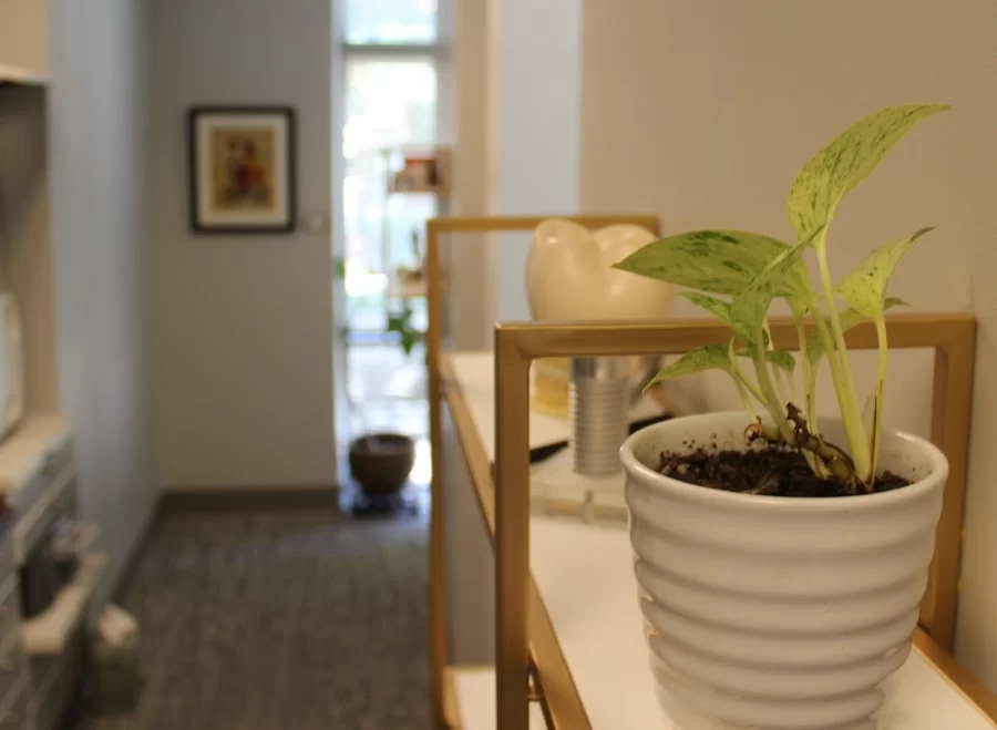 Inman Park Dentistry Picture 5