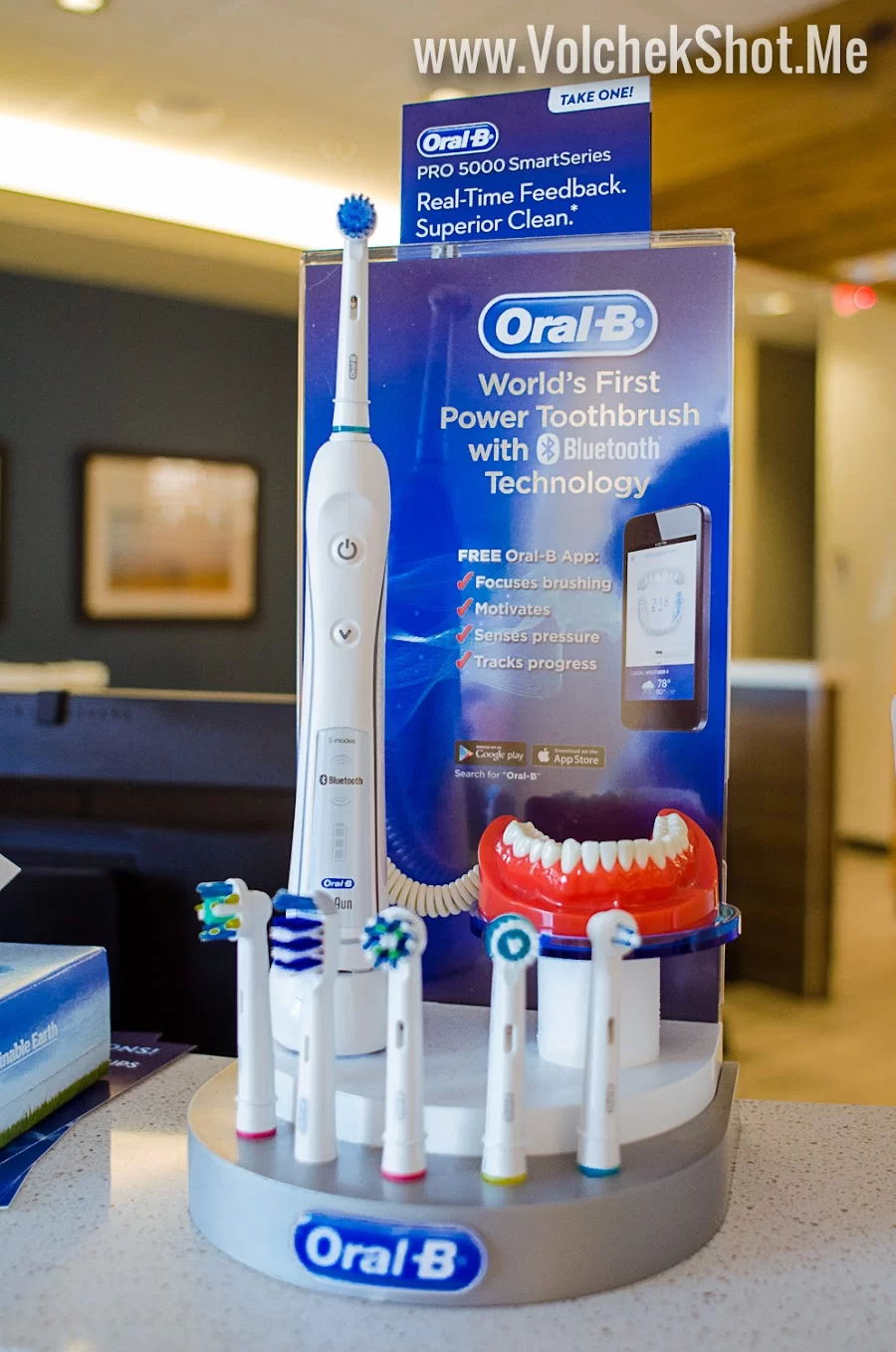 Western Dental & Orthodontics Picture 9
