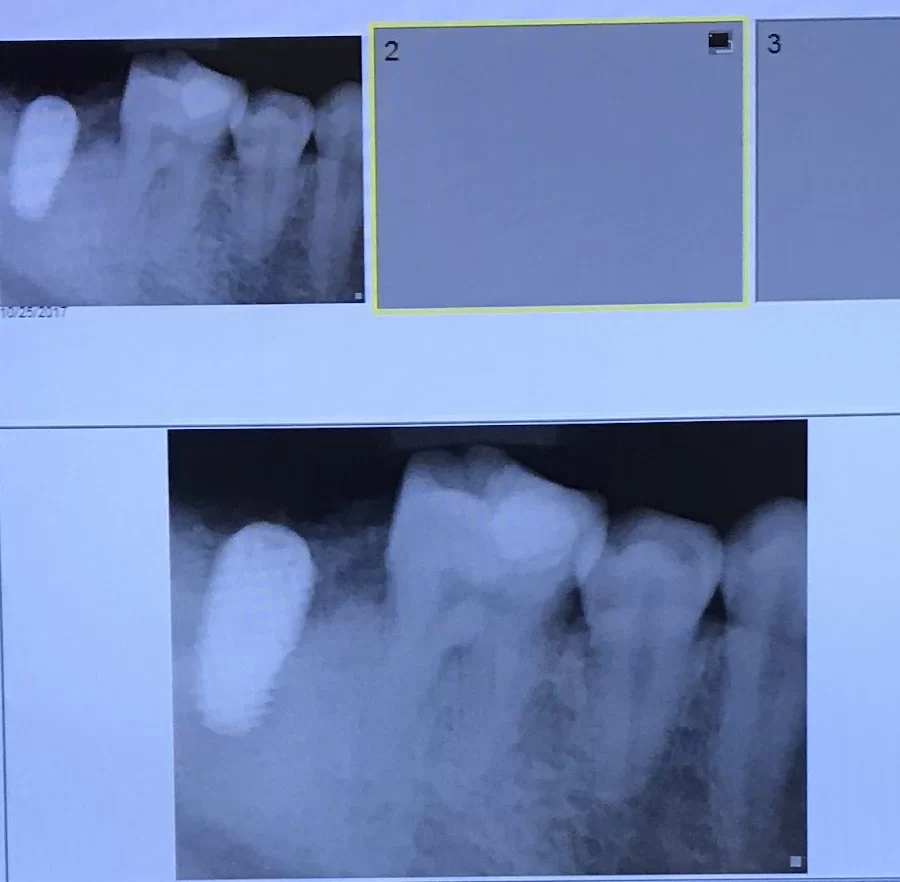Dentistry by Dr. Doshi Picture 8
