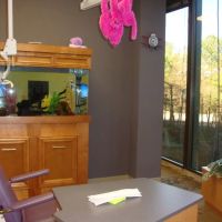 Children's Dentistry ico