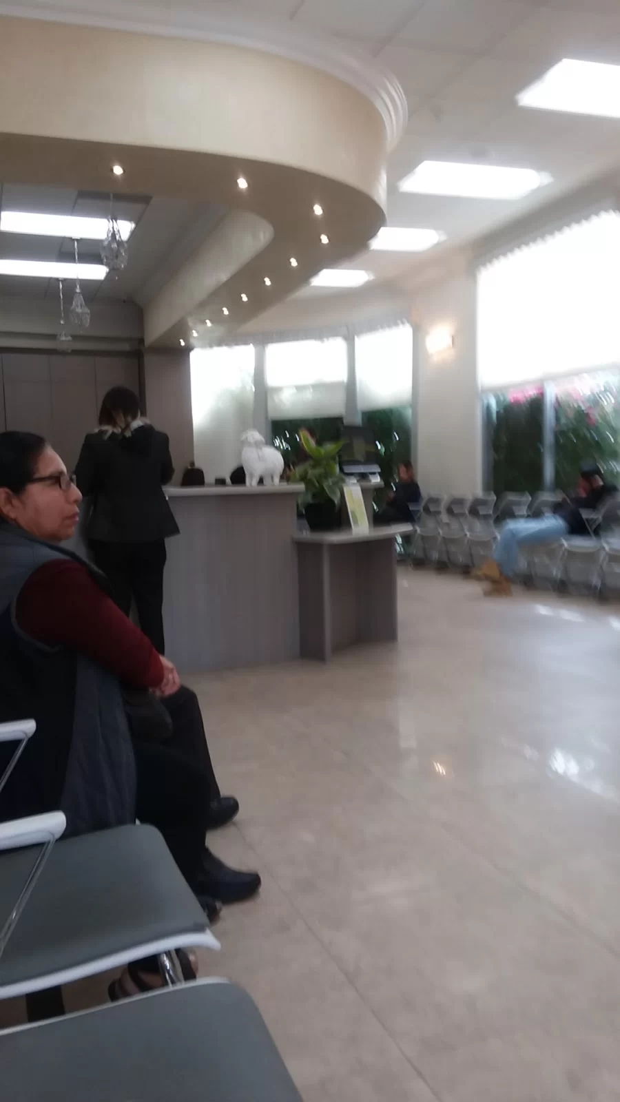 Dr. Lili & Associates - Huntington Park Picture 8