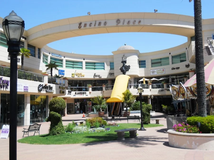 Beverly Hills Braces Picture 7