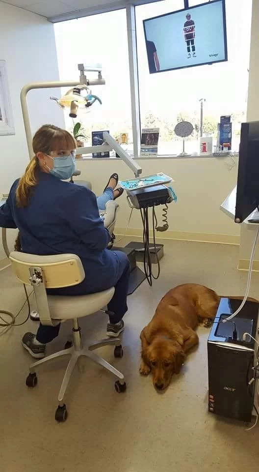 David S. Fine, DDS Picture 1