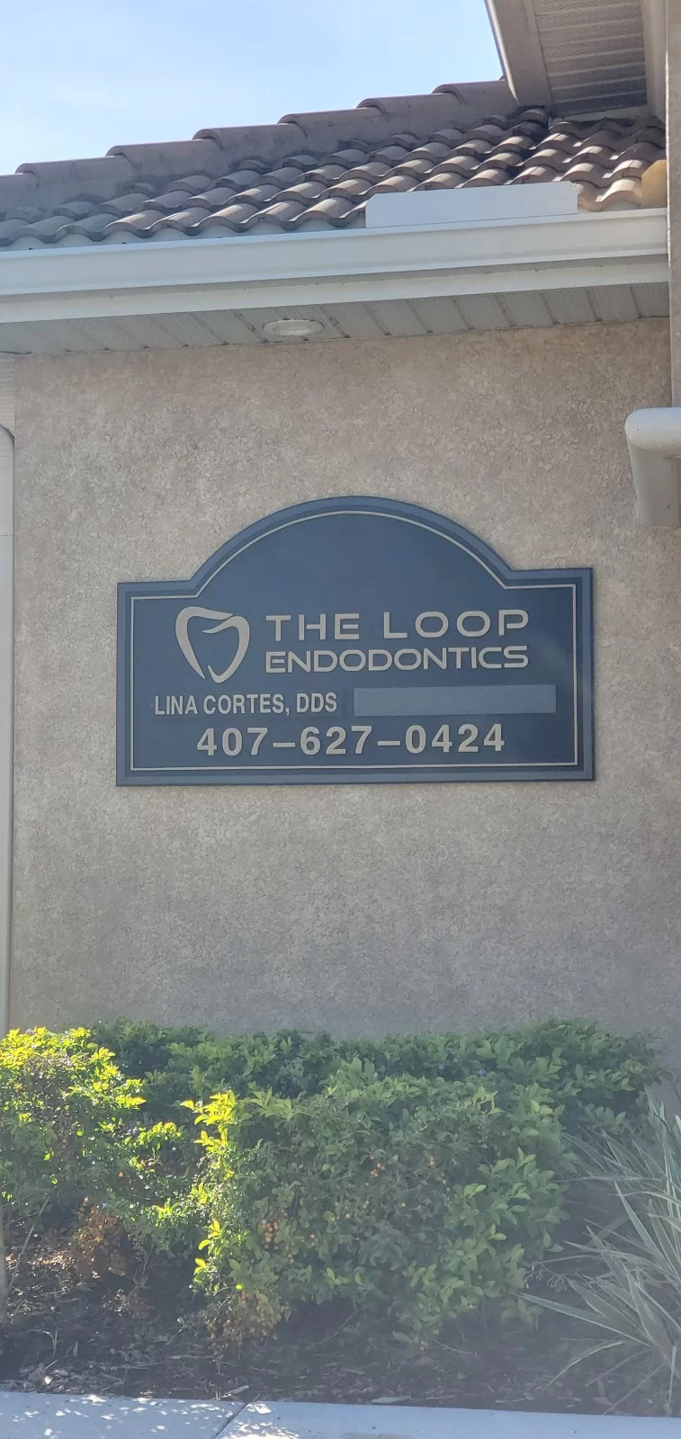 The Loop Endodontics Picture 5