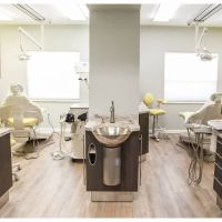 The Loop Endodontics ico
