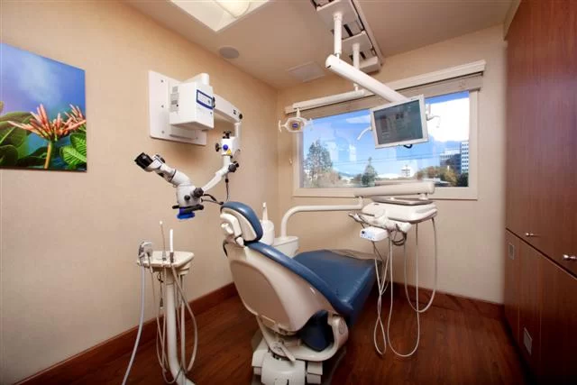 Science of Smiles - Stephanie P. Lee DDS & H. Robert Stender DDS Picture 1