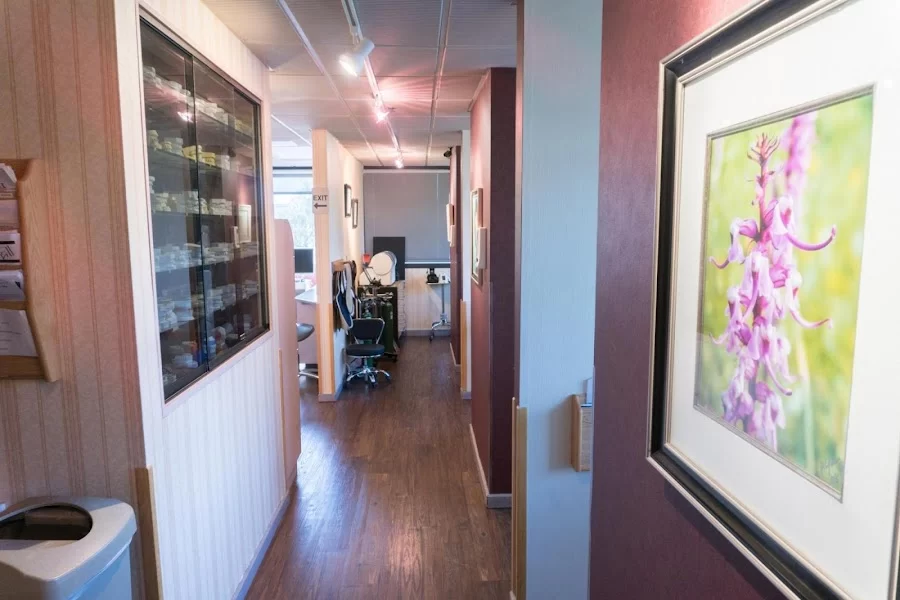 Premier Dental Esthetics | Dentist Arcadia Picture 2