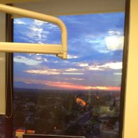 Downs Dental Corporation: David P. Downs, D.D.S. ico