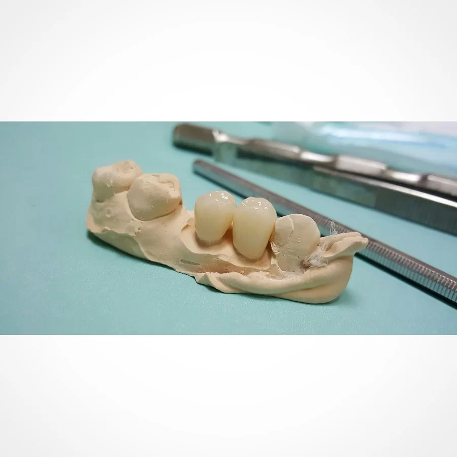West Coast Dental of Van Nuys Picture 5