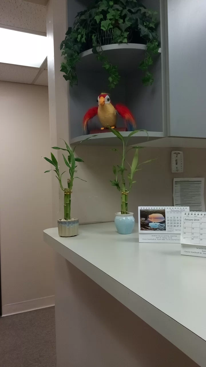 North Hills Dental Center Picture 8