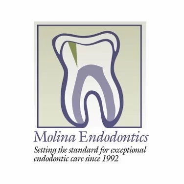 Molina Endodontics Picture 1