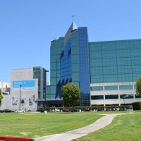 St Francis Medical Center: Kozai Gerald DDS ico