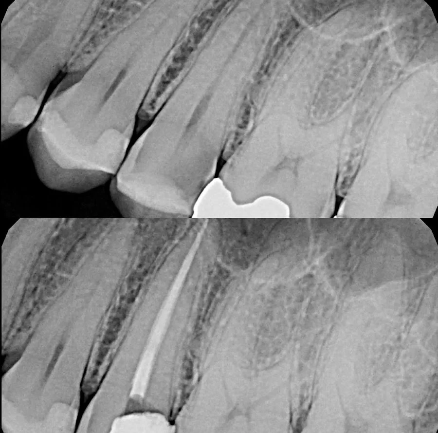 Shahin Shamsian DDS Picture 5