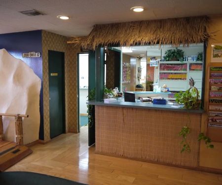 James M. Yee, DDS - Kids Dental Group