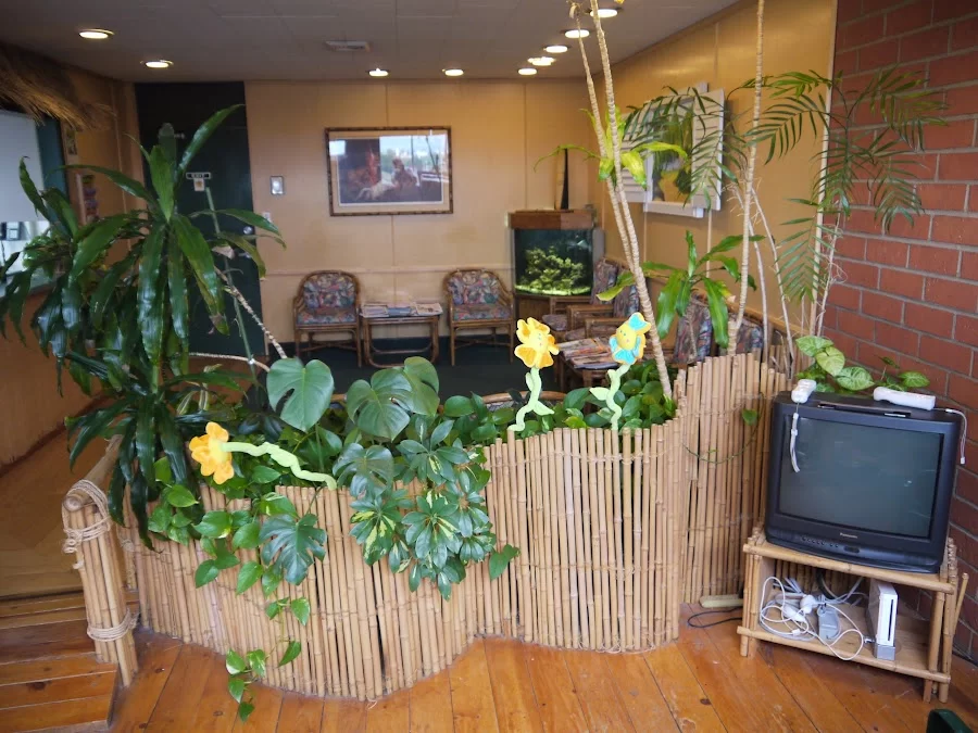 James M. Yee, DDS - Kids Dental Group Picture 6