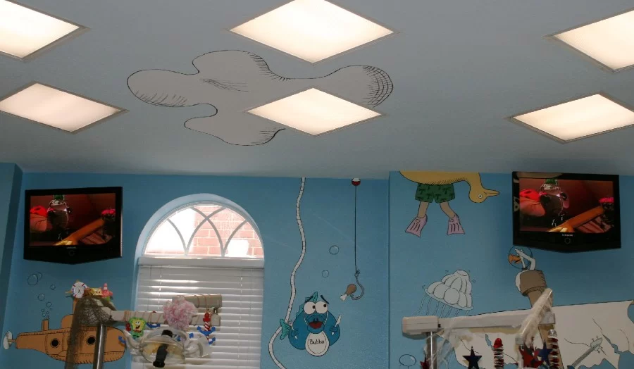 Pediatric Dentist - Joshua Cline DMD & David L. Goldstein DMD - Simply Kids Dentistry of Orlando Picture 1