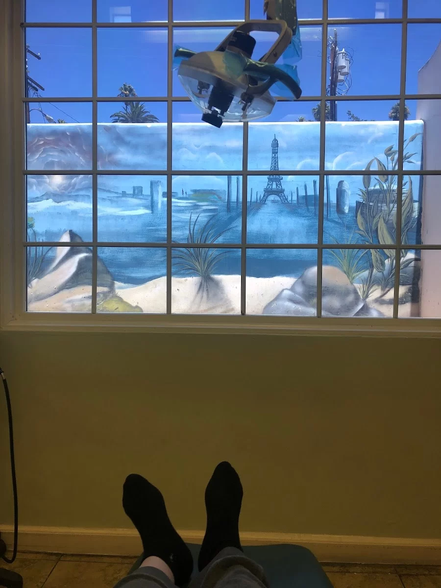 New Vision Dental Picture 8