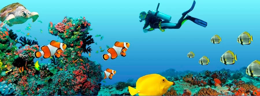 Ocean Dental Picture 1