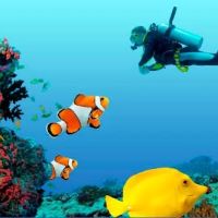 Ocean Dental ico