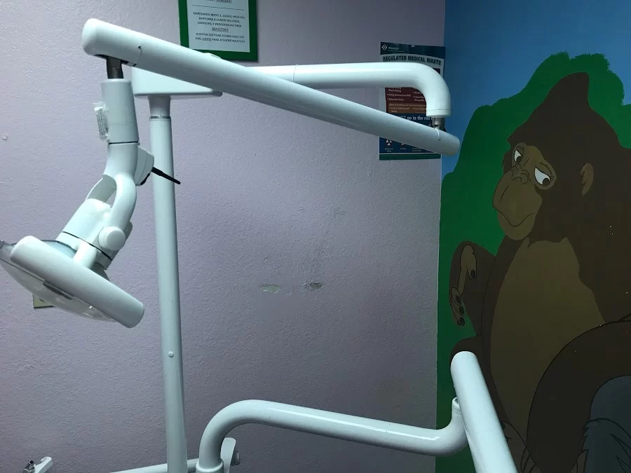 Caring Bear Dental Picture 3