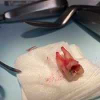 New Smile Dental ico