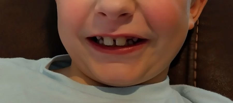 Main Street Children's Dentistry and Orthodontics of Winter Park Picture 3