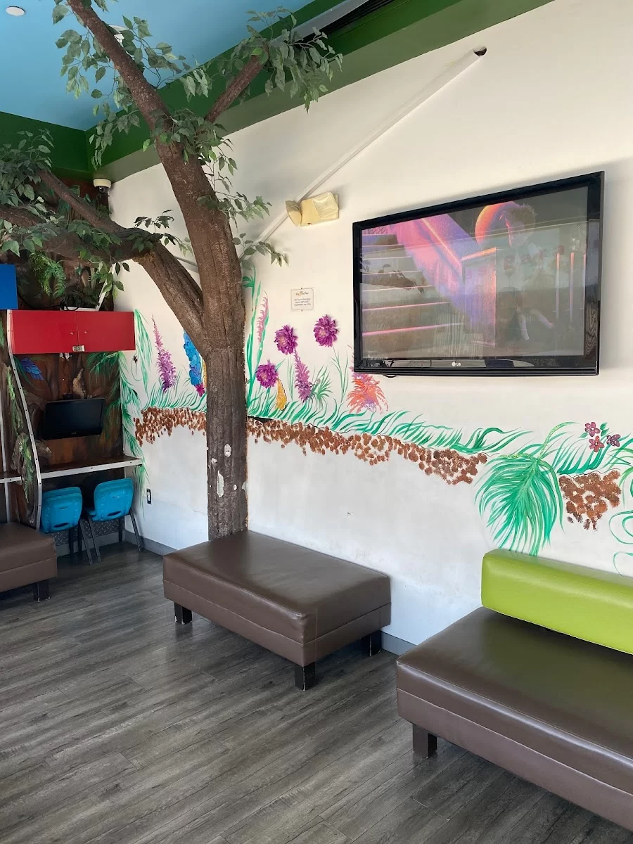 Kids and Teen Dental Place Picture 9
