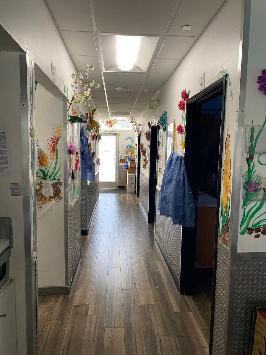 Kids and Teen Dental Place Picture 5