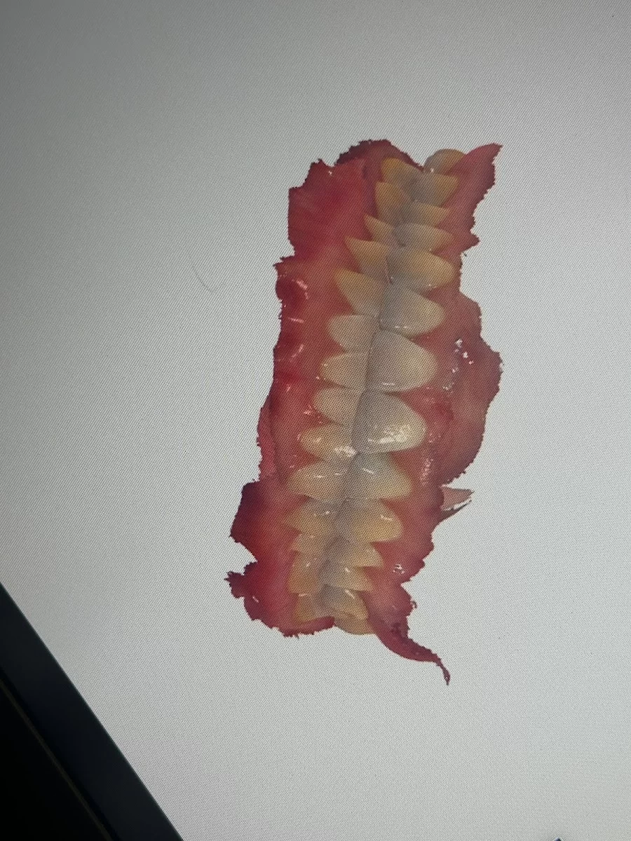 Sonia R. Mendez, DDS Picture 9