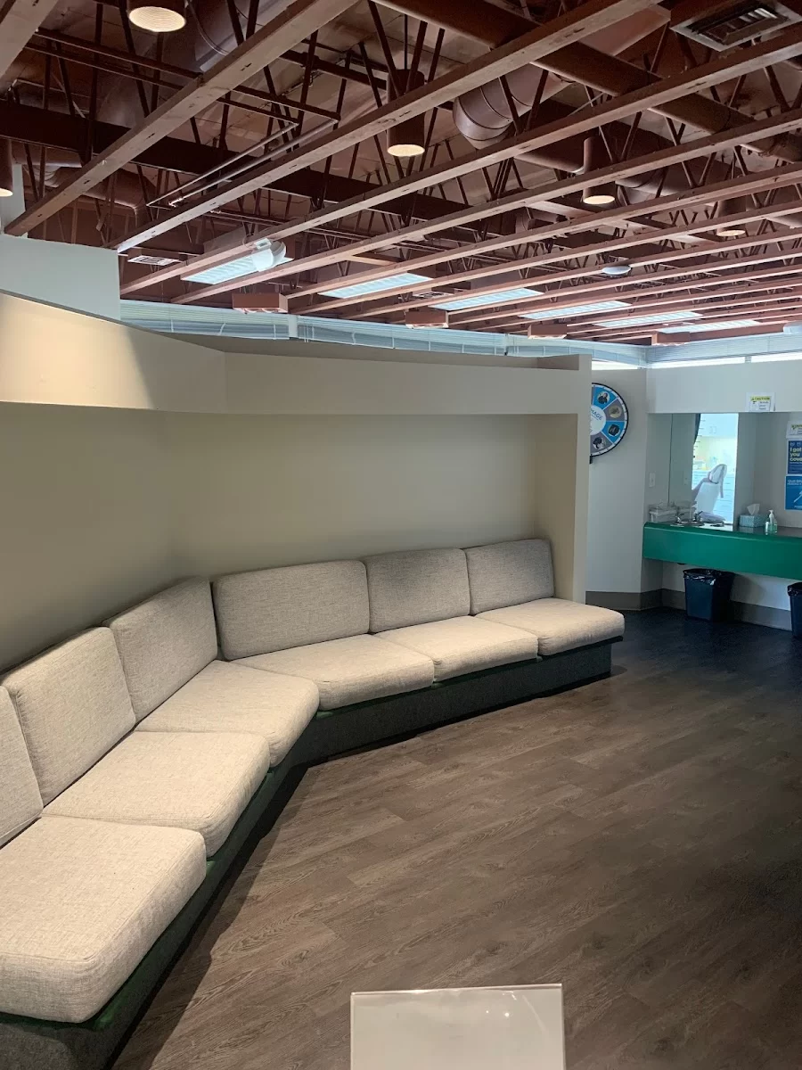 Image Orthodontics - Westborough Blvd Picture 7