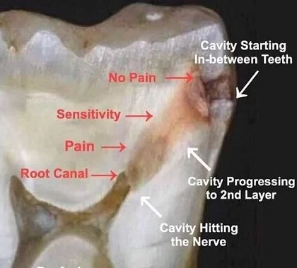 Nice Touch Dental Picture 1