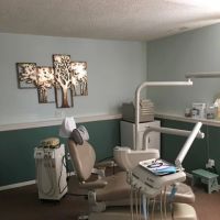 Serene Dental Hygiene ico