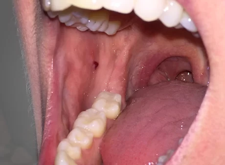 Dental Health Associates, P.A. Picture 2