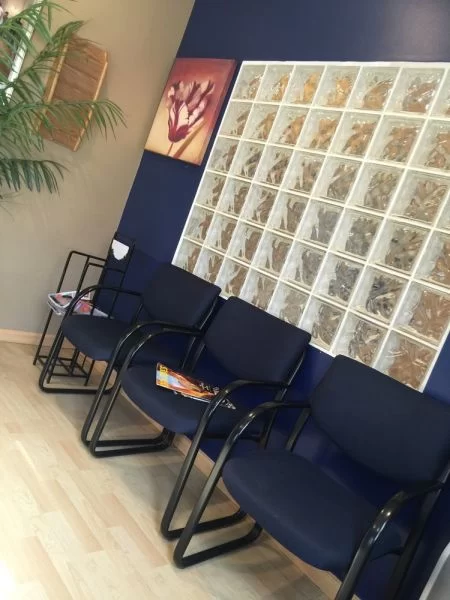 Leila Zamiri DDS - Cherry Office Picture 4