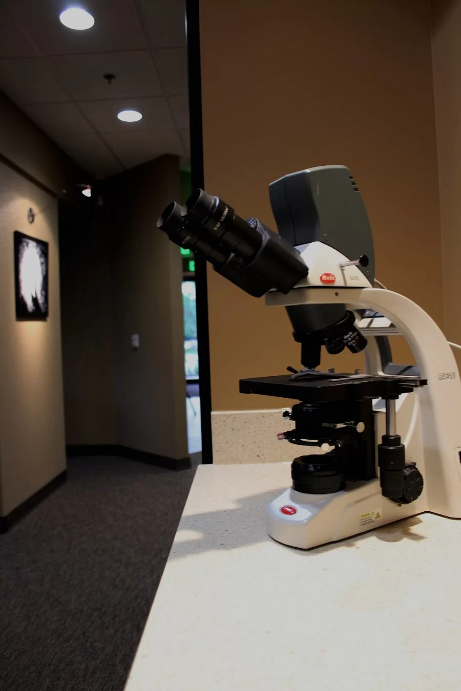 Oak Park Dental Picture 6