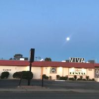 Viva Dental ico