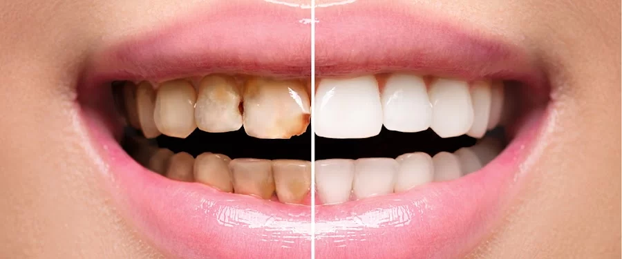 Reed Dental Picture 1