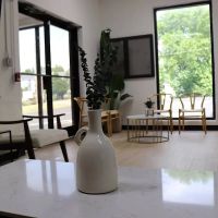 Dental Design Studios LLC ico