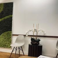 East Side Endodontics ico