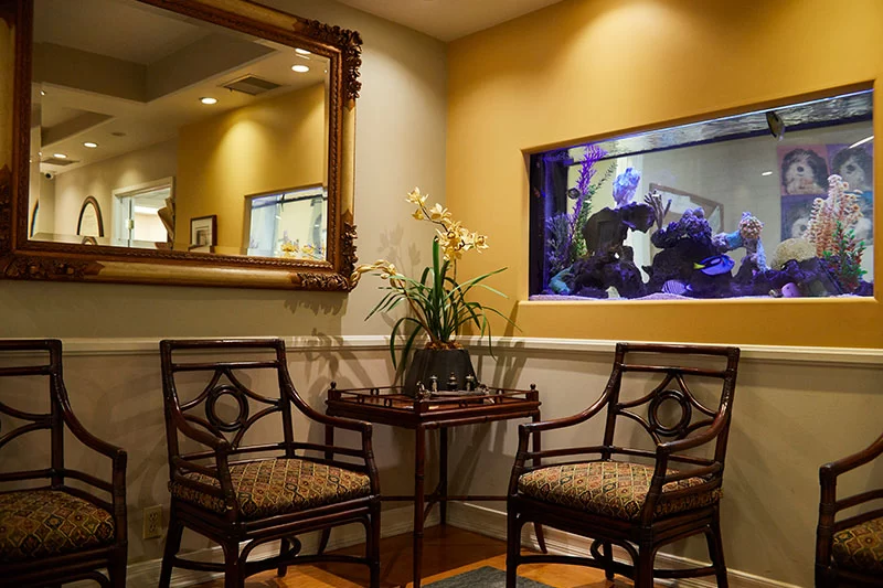 Holistic Dental Wellness Center - Iman Abdeshahian, DMD Picture 6
