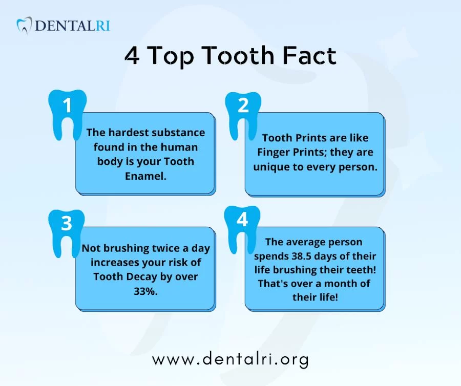 Dental RI: Dr. Michael Gallucci and Dr. Dawn Gallucci - Dentist in Cranston Picture 9