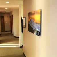 On Q Dentistry ico