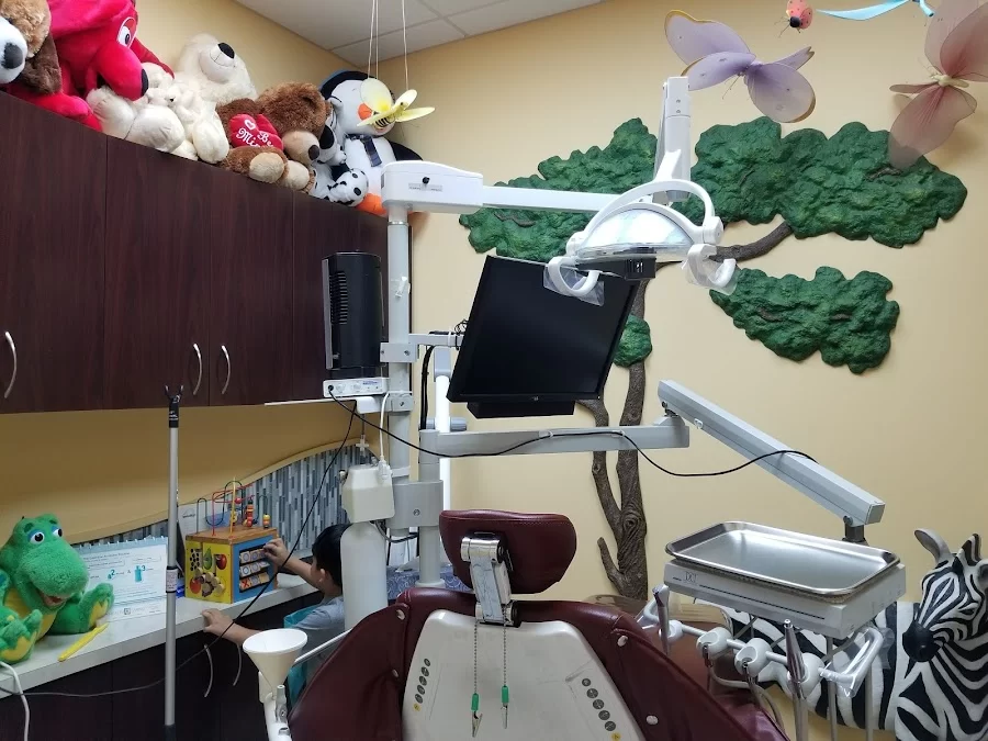 Town & Country Dentistry Picture 4