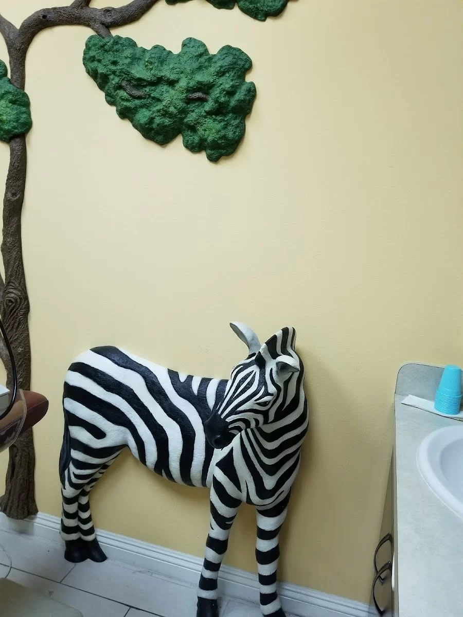 Town & Country Dentistry Picture 5