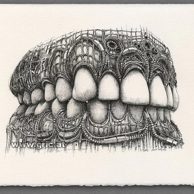 Cal Dental of Bell Picture 7