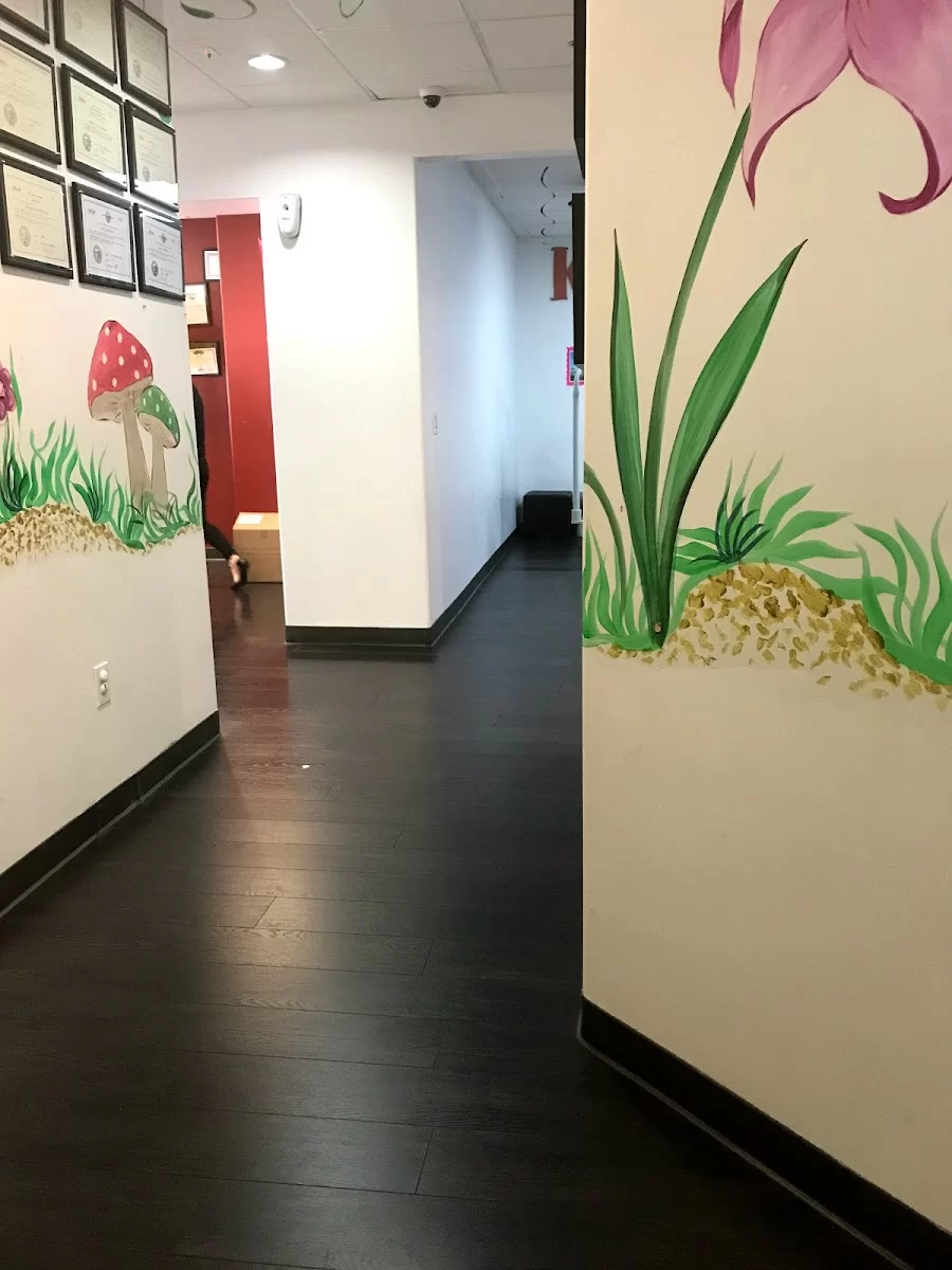 Kids and Teen Dental Place Picture 3