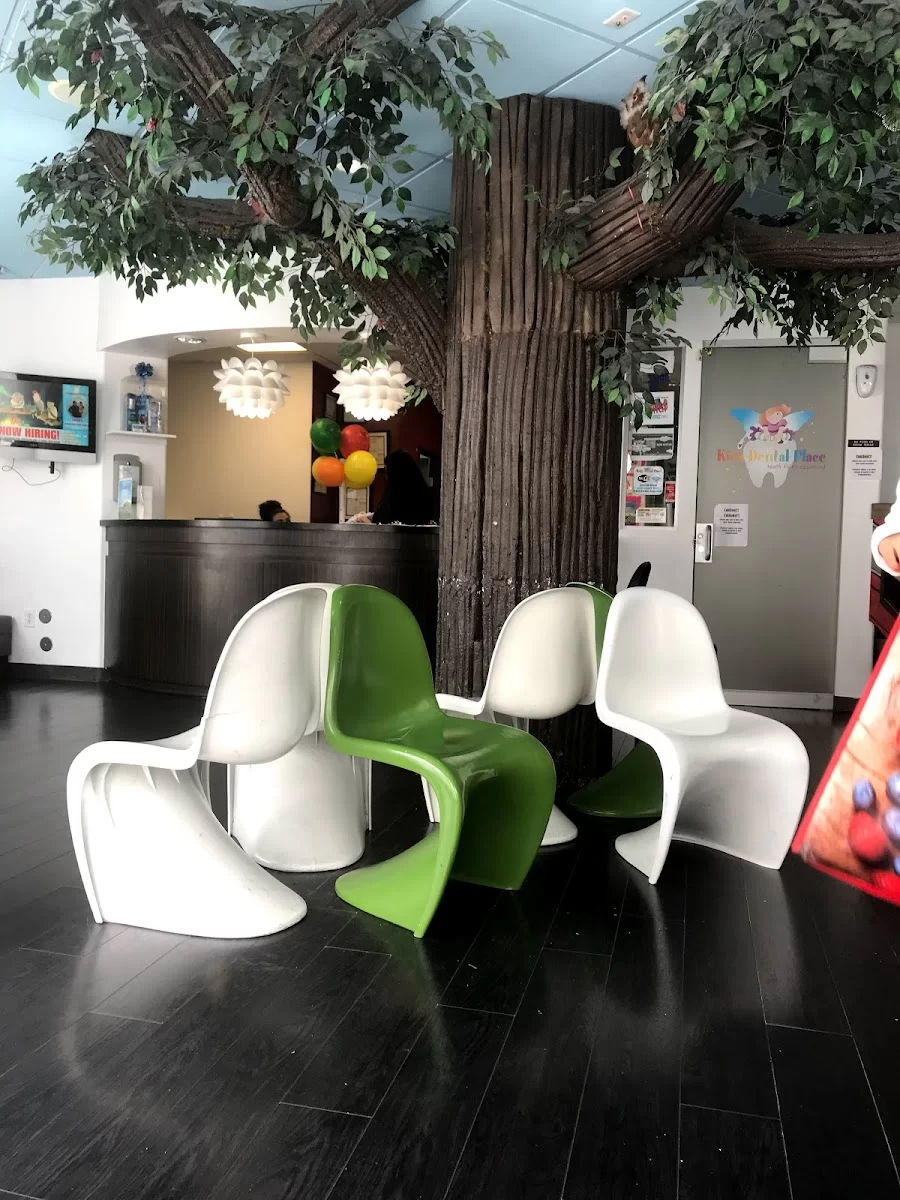 Kids and Teen Dental Place Picture 5