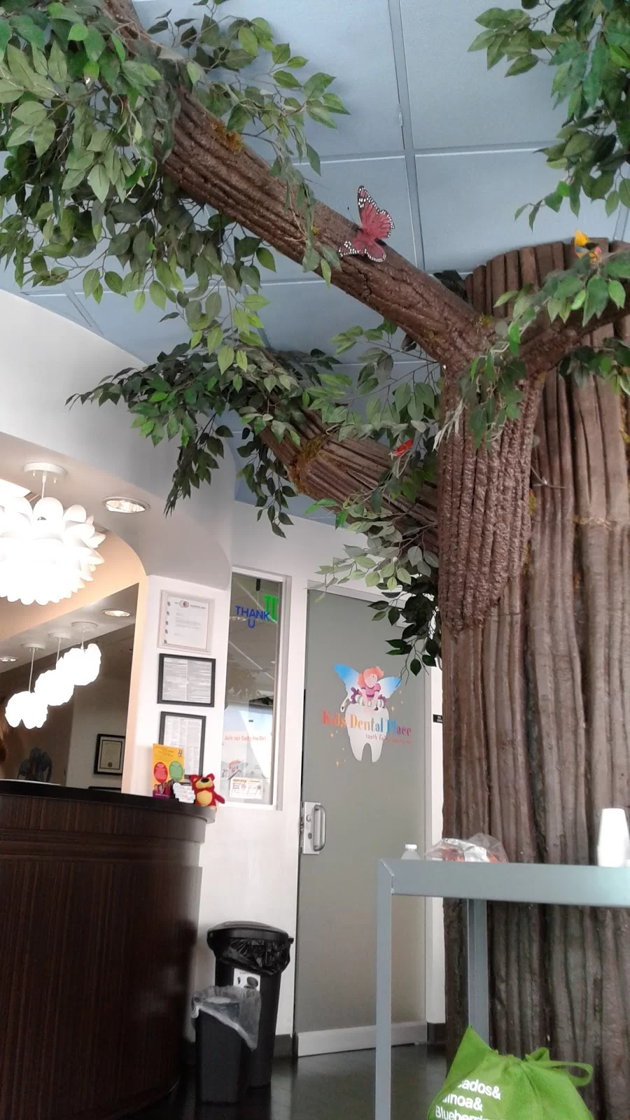Kids and Teen Dental Place Picture 9